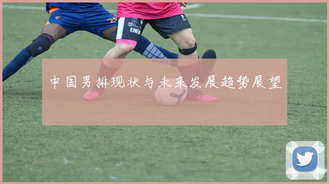 中国男排现状与未来发展趋势展望