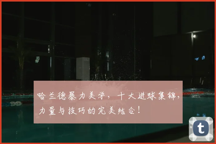 哈兰德暴力美学，十大进球集锦，力量与技巧的完美结合！