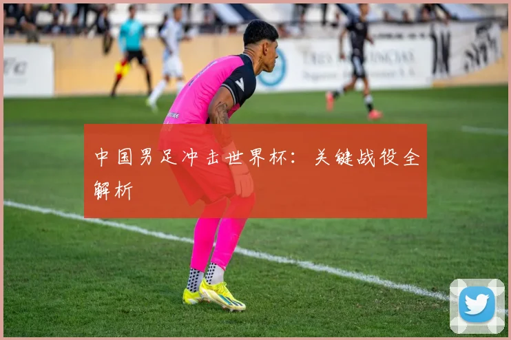 中国男足冲击世界杯：关键战役全解析
